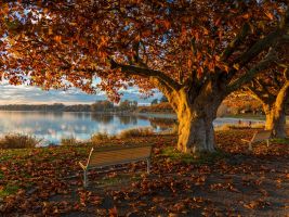 Herbststimmung am Bodensee