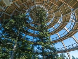 Baumturm im Nationalparkzentrum Lusen