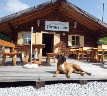 Ferien mit Hund in Bayern