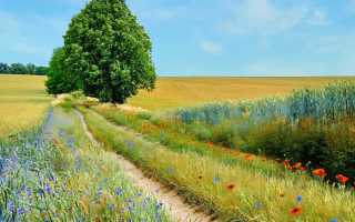 Ursprüngliche Natur in der Uckermark - ©ebenart/stock.adobe.com