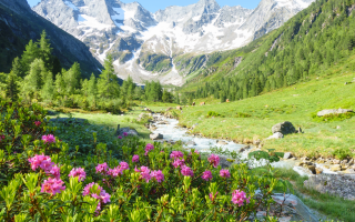 Bezauberndes Zillertal - © paul/stock.adobe.com