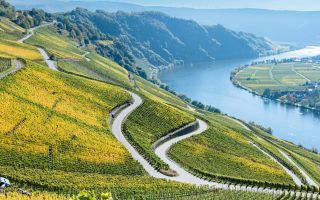 Naturparadies Mosel - (c) Matthias/stock.adobe.com