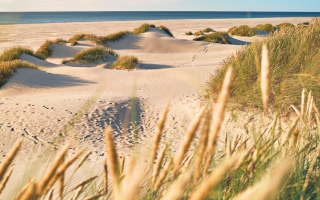 Strand bei Römö in Dänemark - (c) Florian Kunde/stock.adobe.com