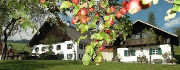Ferienwohnungen & Ferienhäuser: Bauernhöfe in Oberstdorf