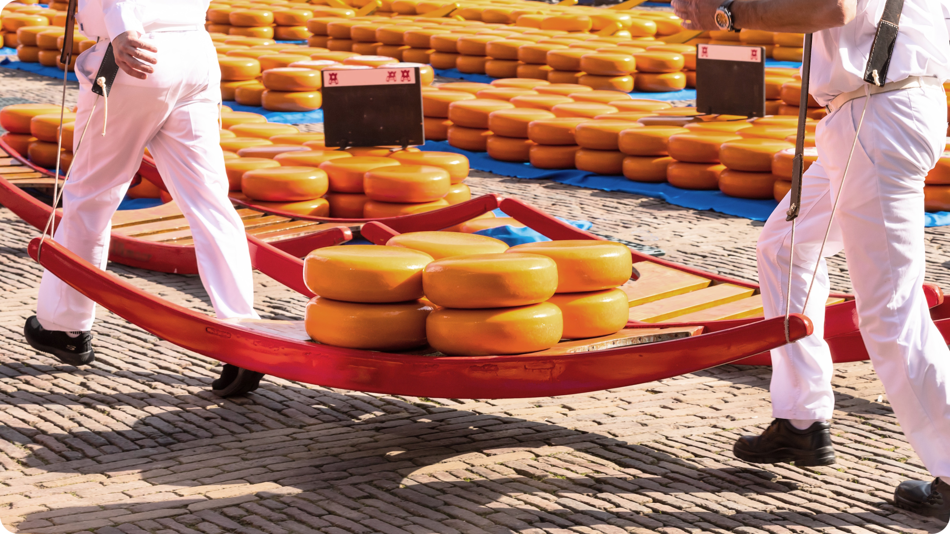 Der Käsemarkt in Alkmaar