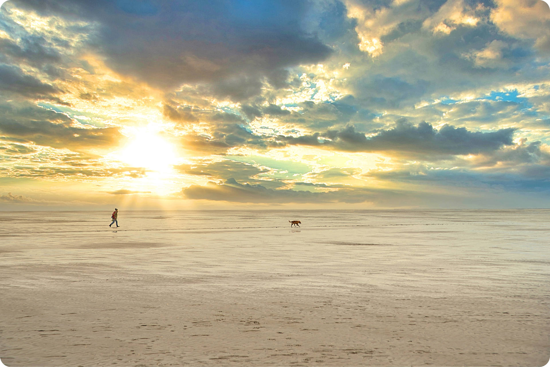 Hundestrand in St. Peter-Ording