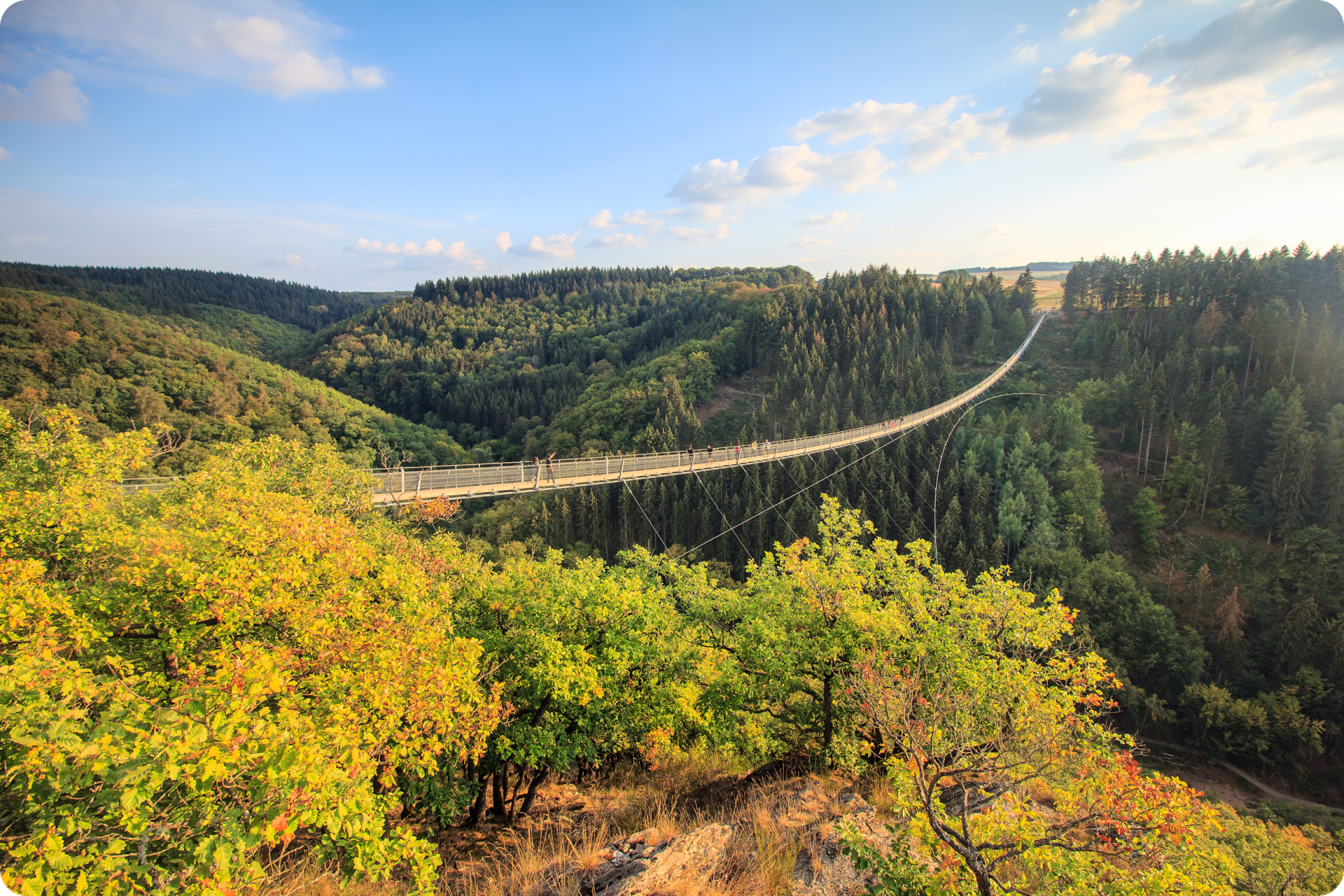 Die Geierlay Hängebrücke bei Mörsdorf im Hunsrück