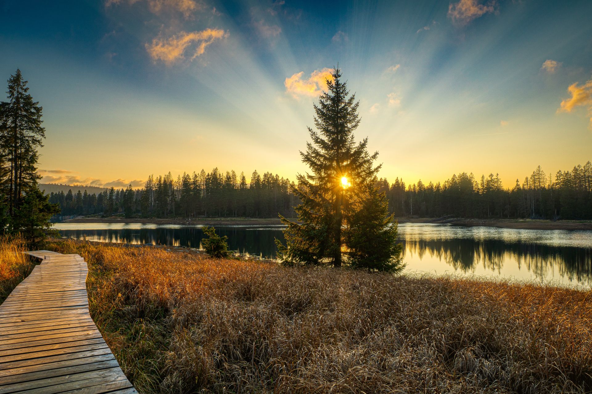 Wandern im Harz