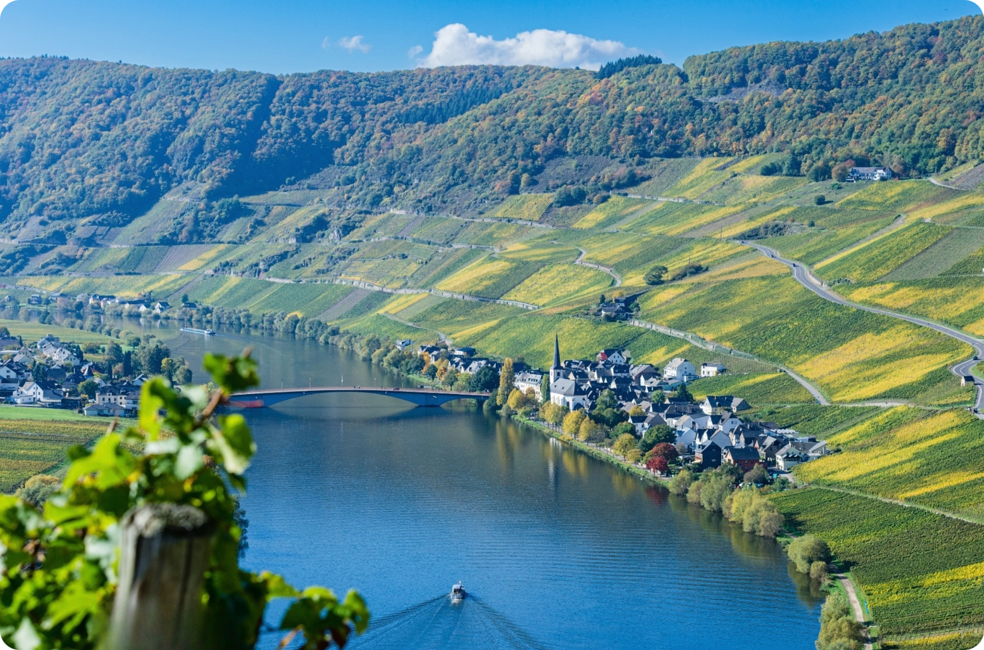 Blick auf Piesport an der Mosel