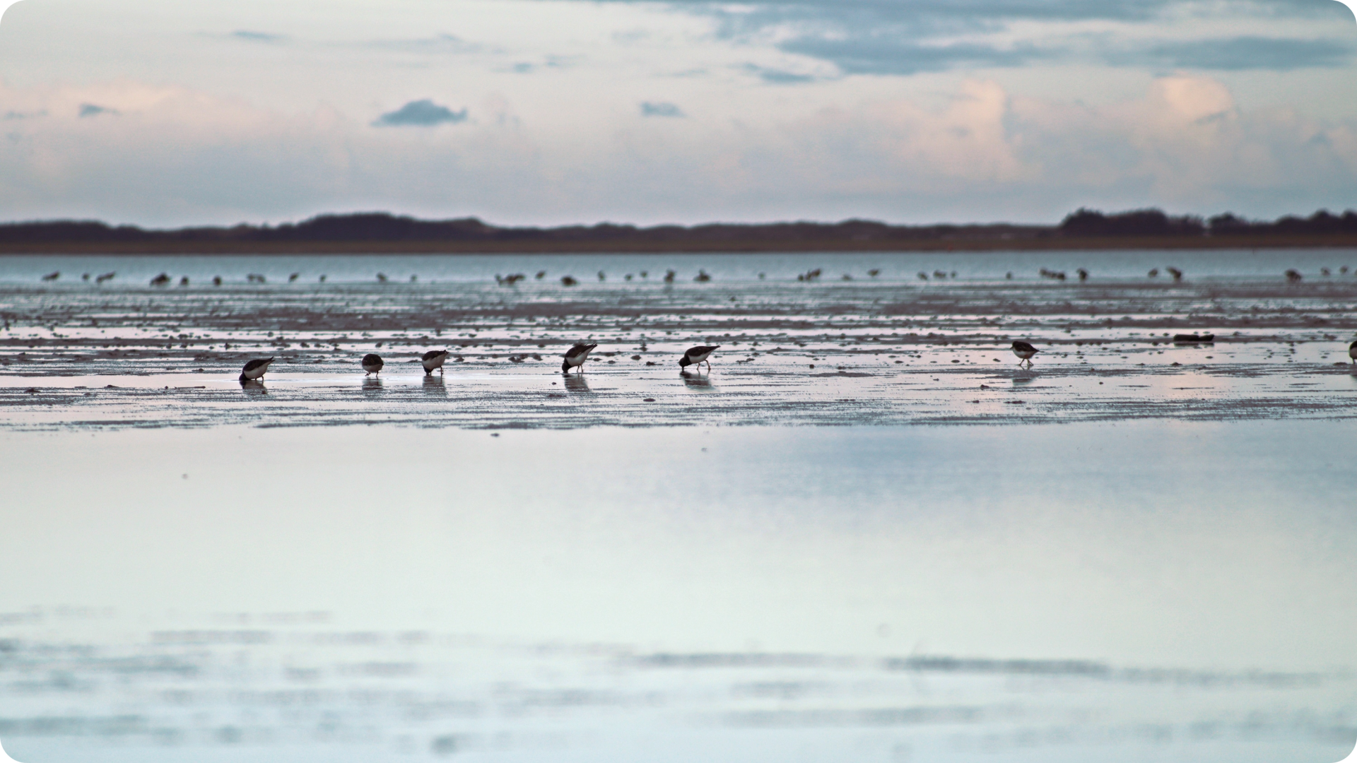 Norderney im Winter 