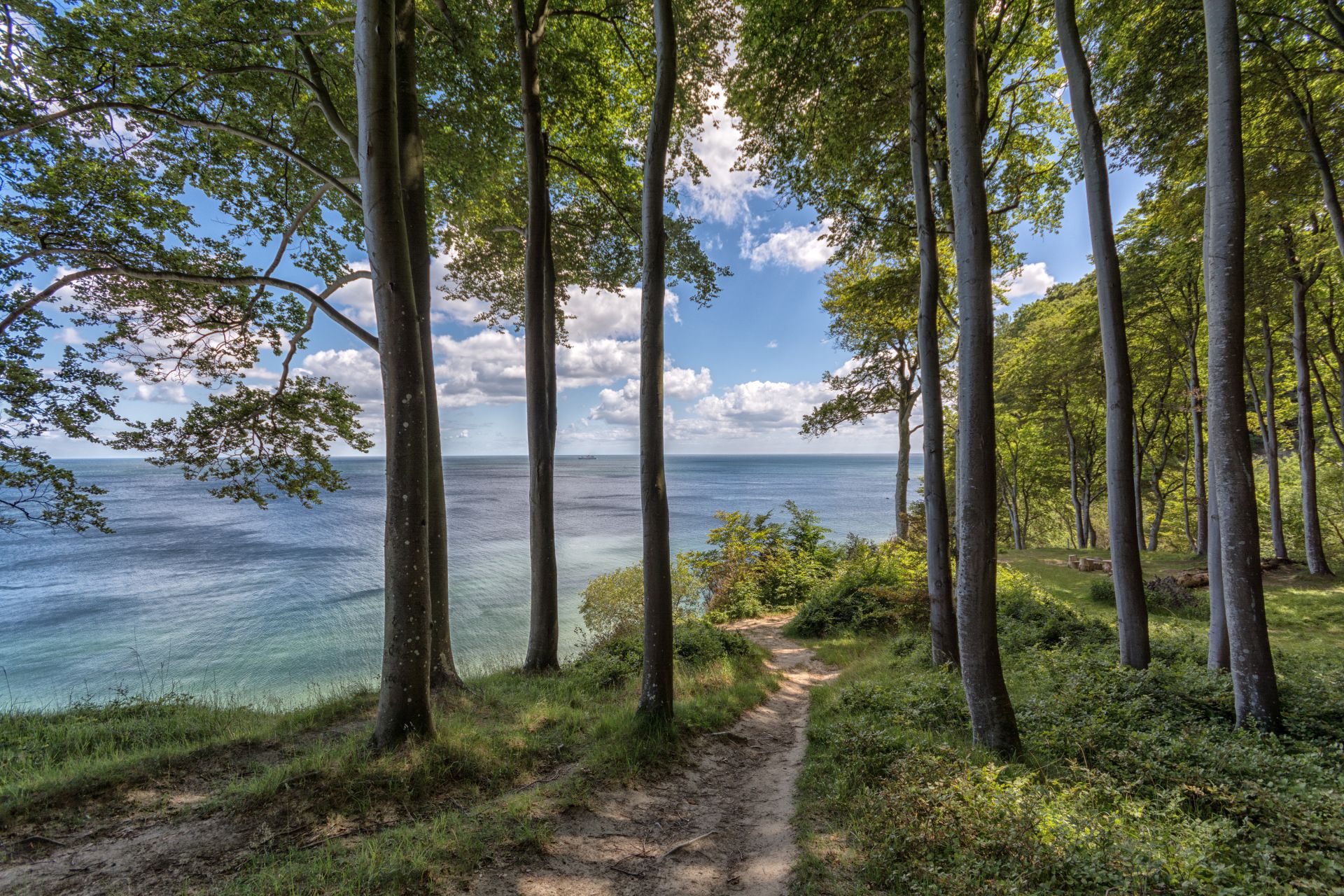 Rügen Nationalpark wandern