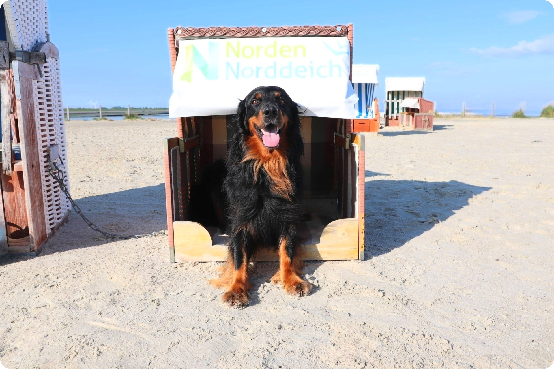 Hundestrandkorb am Hundestrand in Norddeich