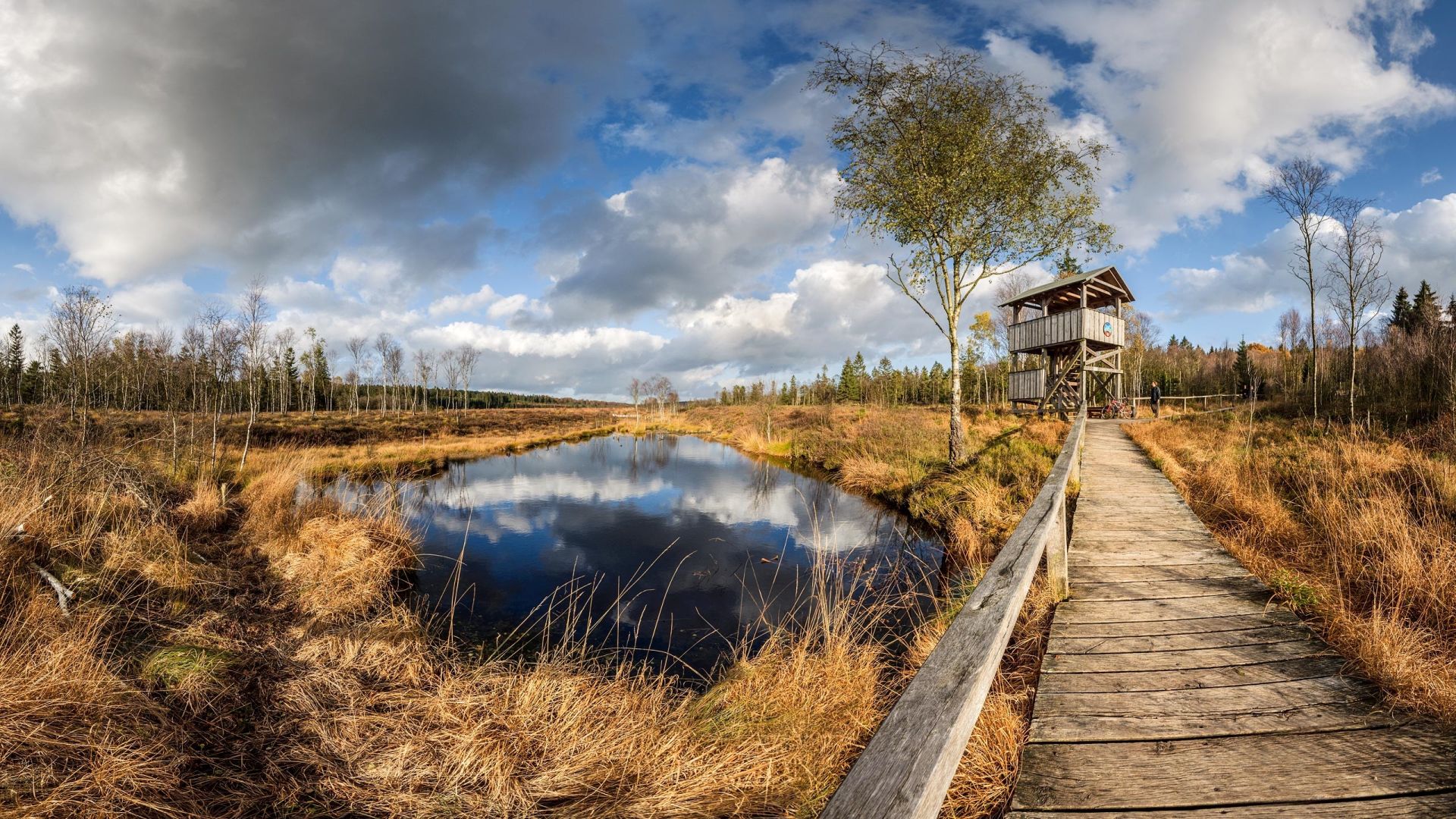 Hochmoor im Solling Hochmoor im Solling