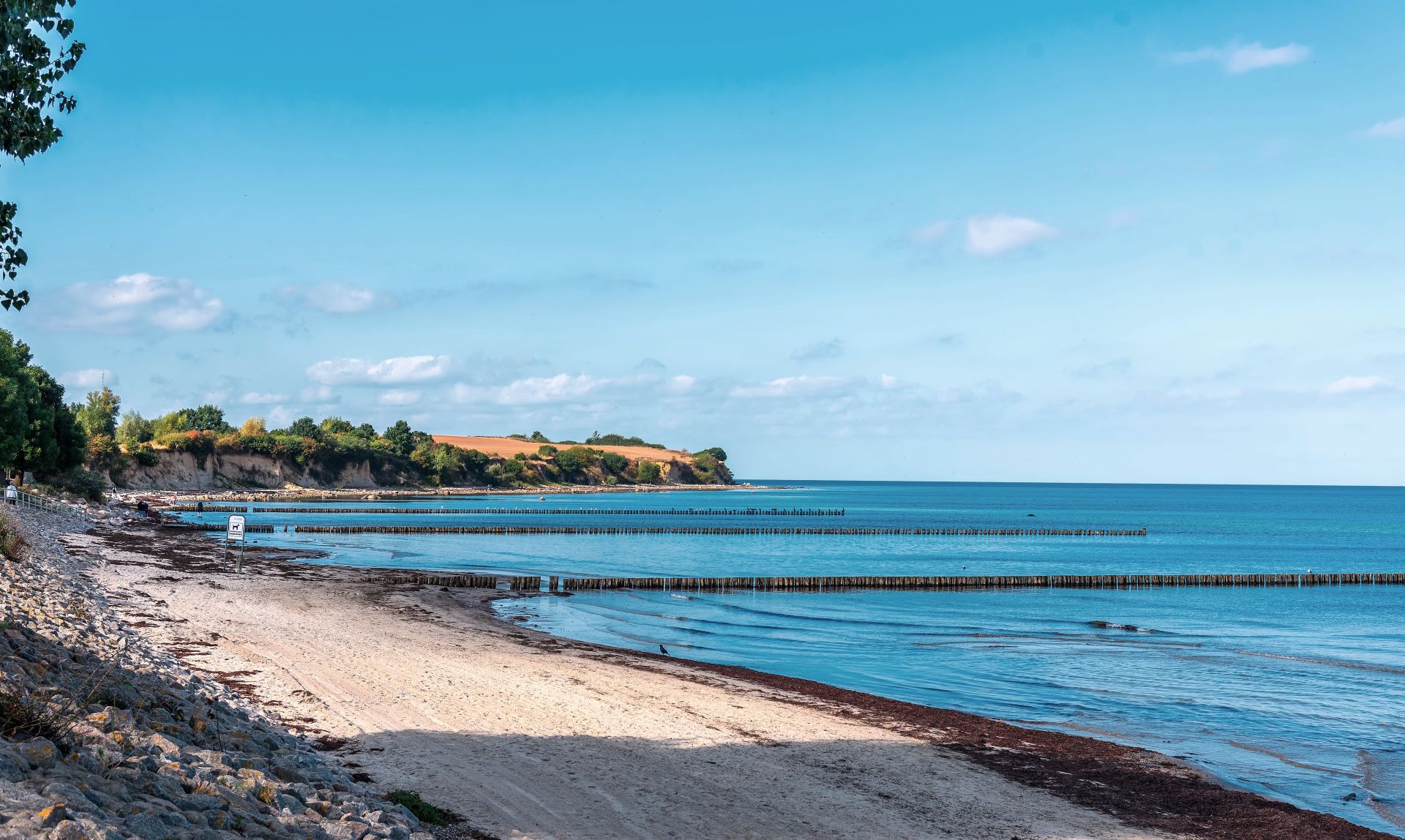 Weitläufiger Hundestrand im Boltenhagen an der Ostsee