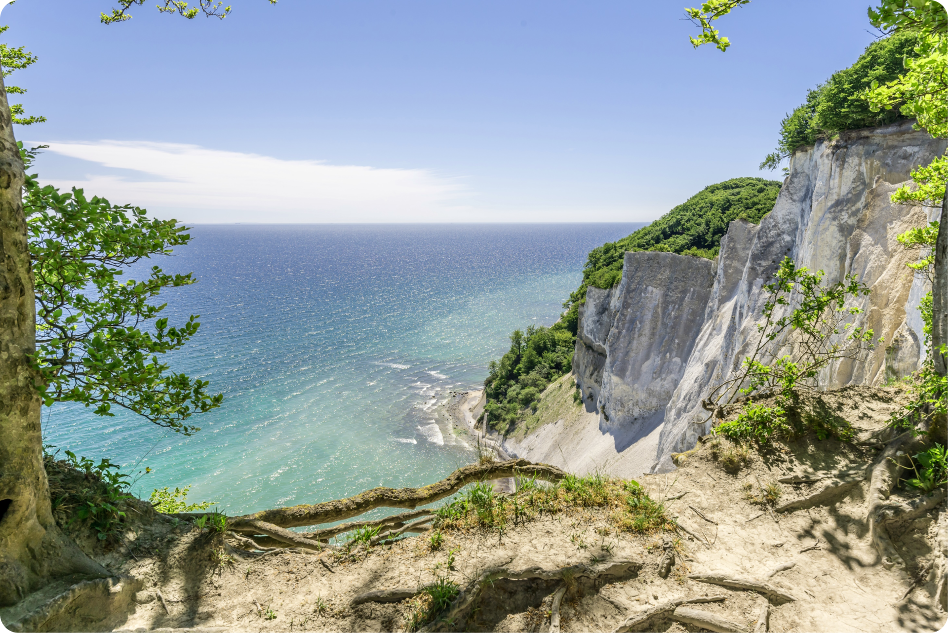 Kreidefelsen Møn