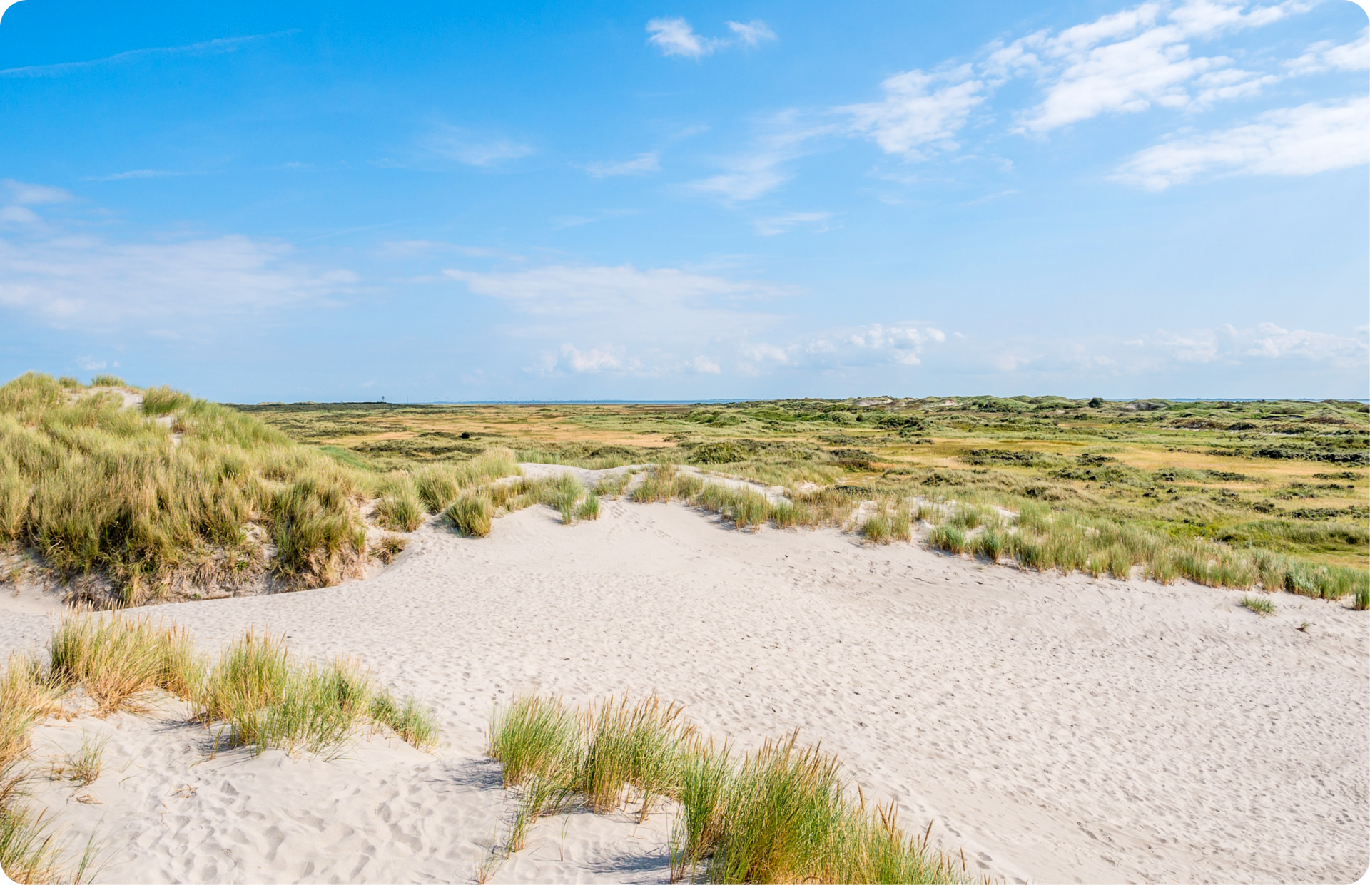 Het Oerd auf Ameland