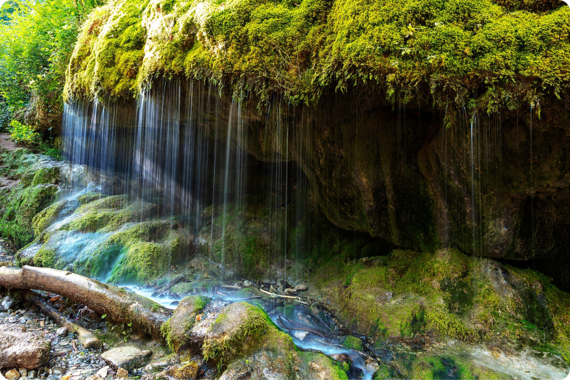 Am Wegesrand in der Wutachschlucht