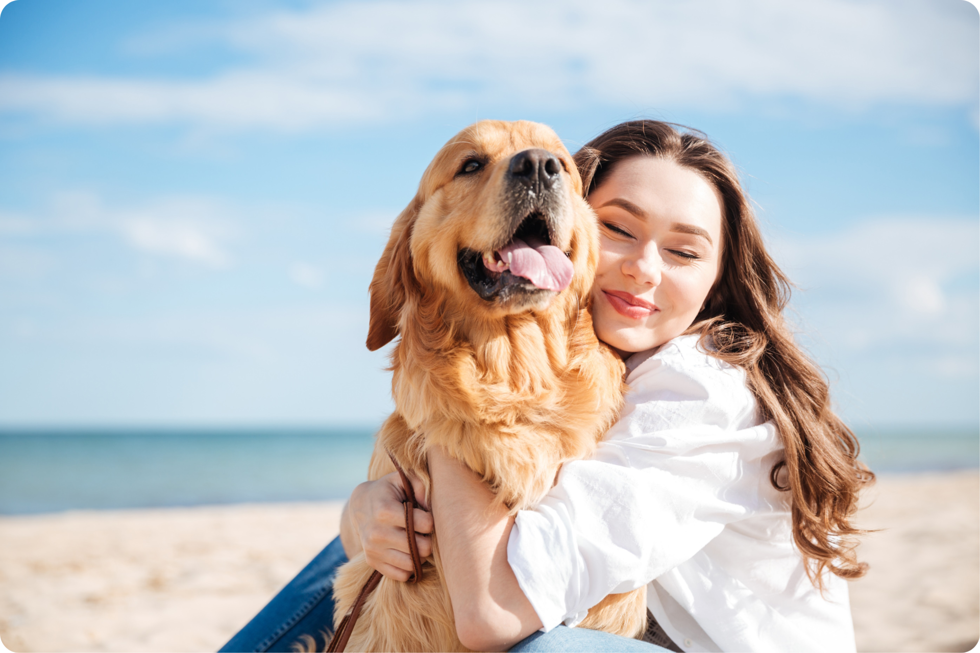 Hundestrände auf den Balearen 