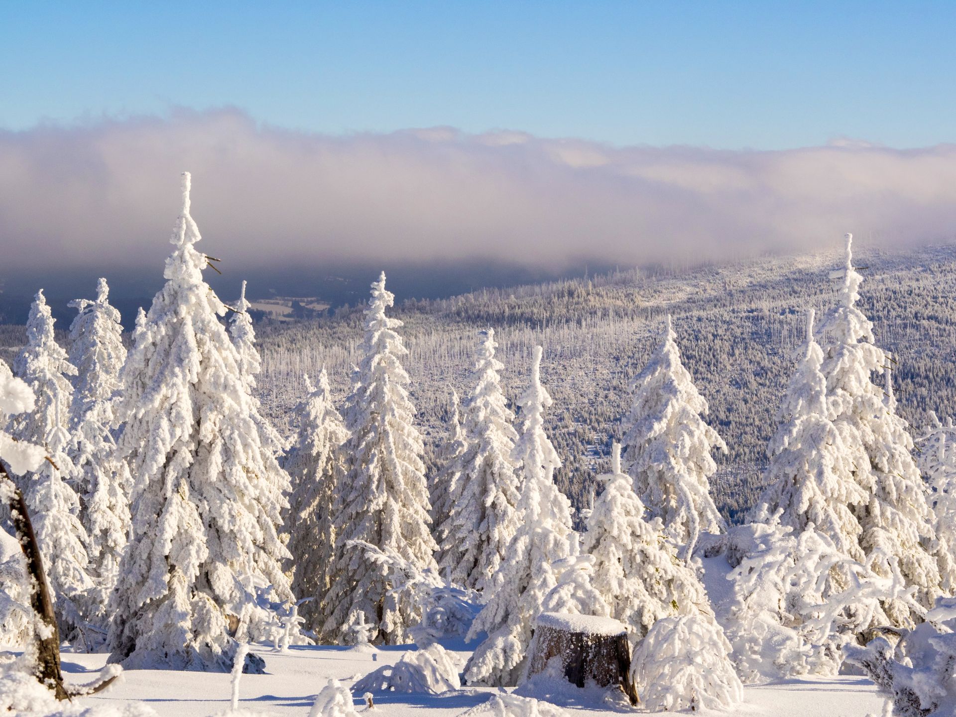 Winterwunderland im Böhmerwald