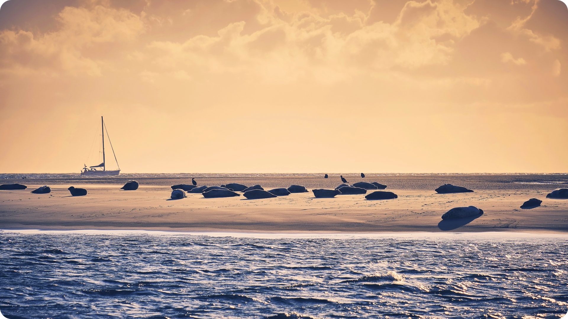 Borkum im Winter