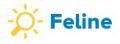 Feline Logo
