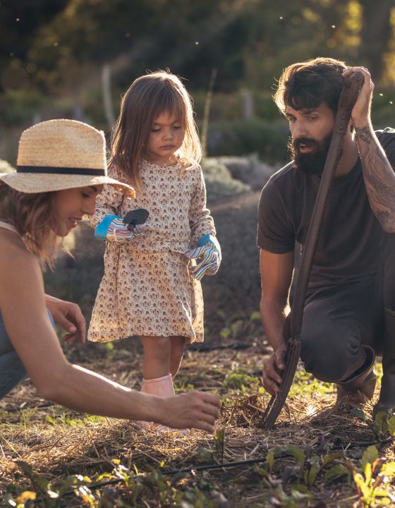 familienfreundliche_ferienwohnungen_bauernhof_mecklenburg_vorpommern_teaser familienfreundliche_ferienwohnungen_bauernhof_mecklenburg_vorpommern_teaser