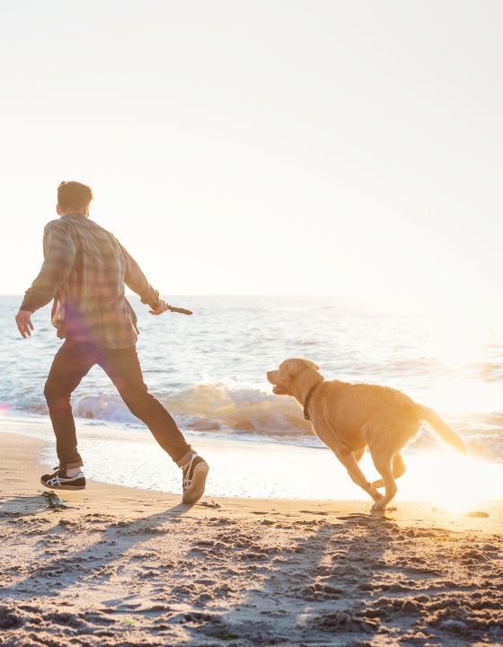 urlaub_mit_hund_hundestraende_ostsee_nordsee_vorteile_teaser