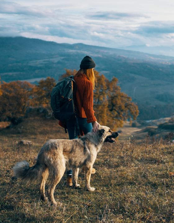 ferienwohnungen_ferienhaeuser_urlaub_mit_hund_in_den_bergen_teaser