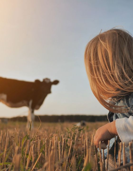 familienfreundliche_ferienwohnungen_bauernhof_niedersachsen_teaser familienfreundliche_ferienwohnungen_bauernhof_niedersachsen_teaser