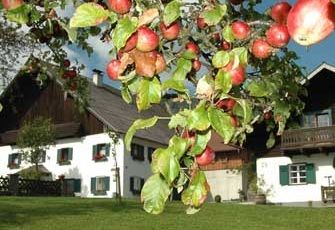 Urlaub auf dem Bauernhof an der Müritz Themenbox Bauernhof.590x230
