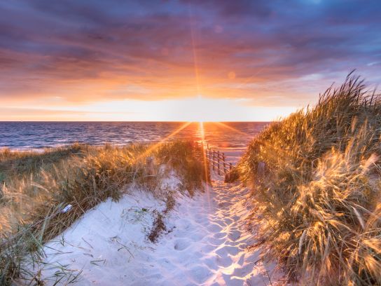 Borkum Störerelement