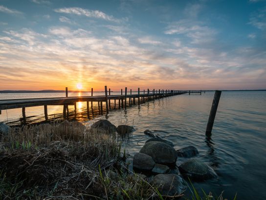 Störer Steinhuder Meer Störer Steinhuder Meer