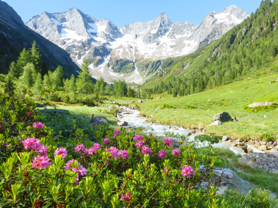 Bezauberndes Zillertal - © paul/stock.adobe.com
