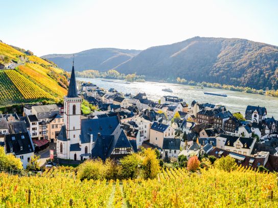 Assmanshausen in Bremen Störer Assmanshausen in Bremen Störer