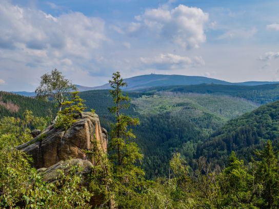 Bad Harzburg Störer Bad Harzburg Störer