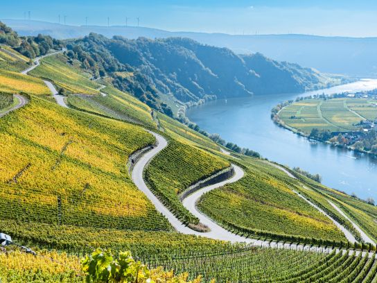 Naturparadies Mosel - (c) Matthias/stock.adobe.com