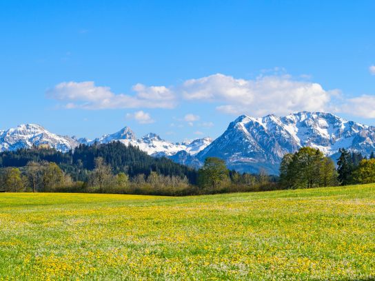 Allgäu Störer