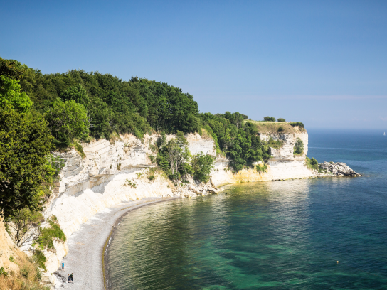 Kreisefelden in Stevns Klint