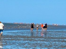 Ferienwohnung & Ferienhaus an der Nordsee_BestFewo.1280x210