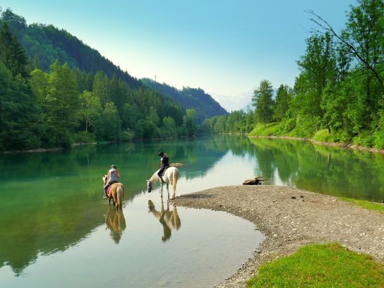 Störer Fischen im Allgäu