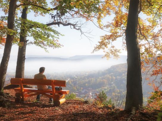 Lastminute Harz Natur - drsg98-stock.adobe
