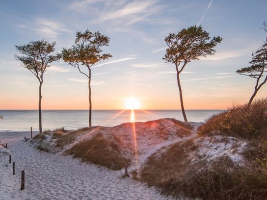 Ferienwohnung & Ferienhaus im Ostseebad Binz_BestFewo.1280x500