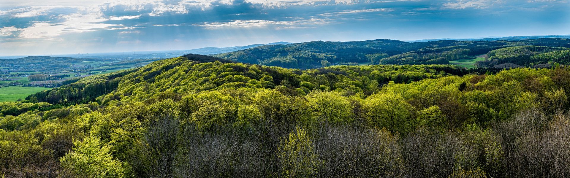 Panorama Teutoburger Wald