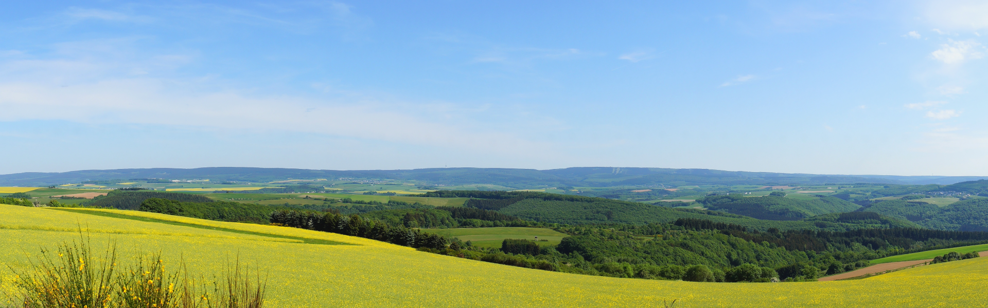Panorama Hunsrück - beatuerk