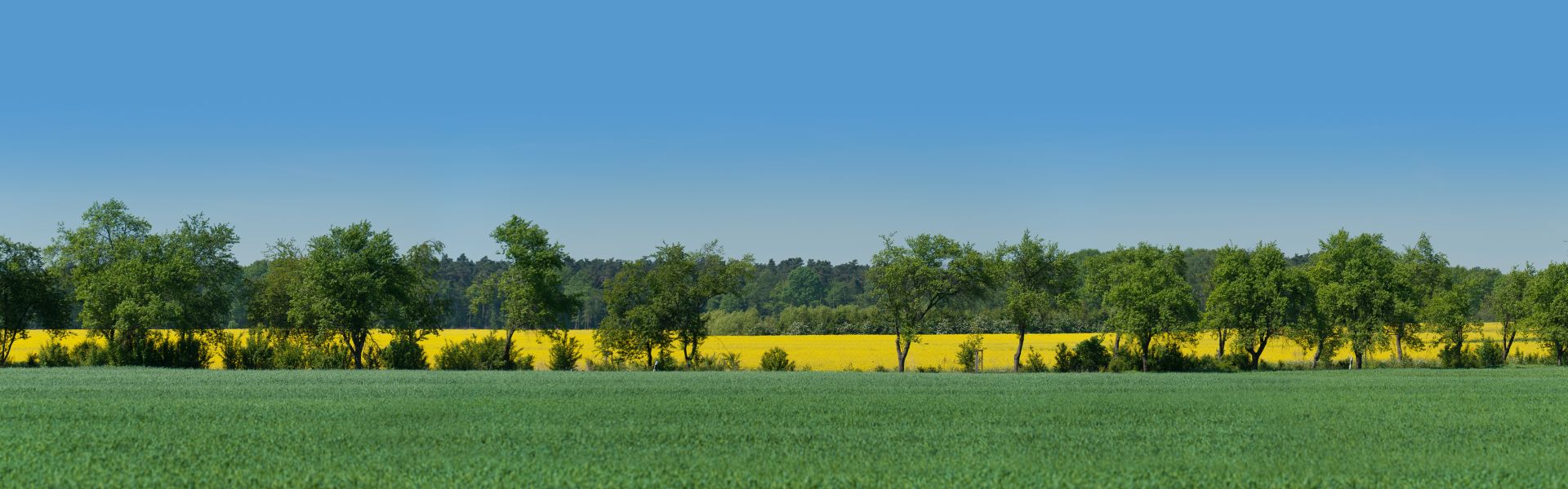 Panorama Brandenburg
