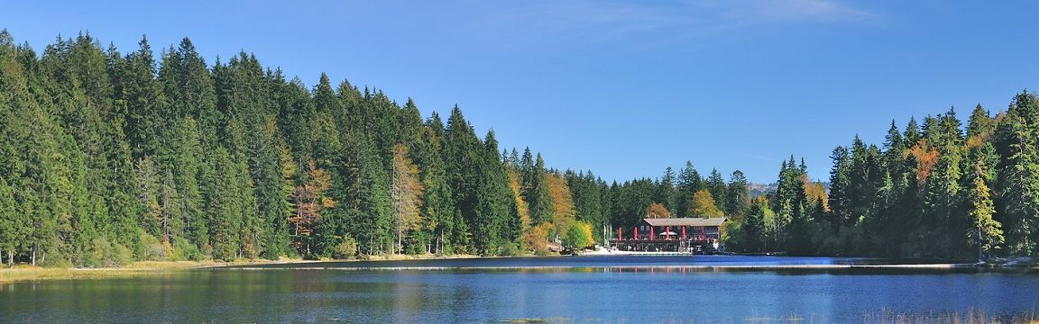 Title_Bayerischer Wald_1320x360 Title_Bayerischer Wald_1320x360