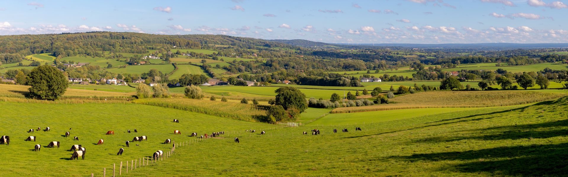 Bezauberndes Limburg