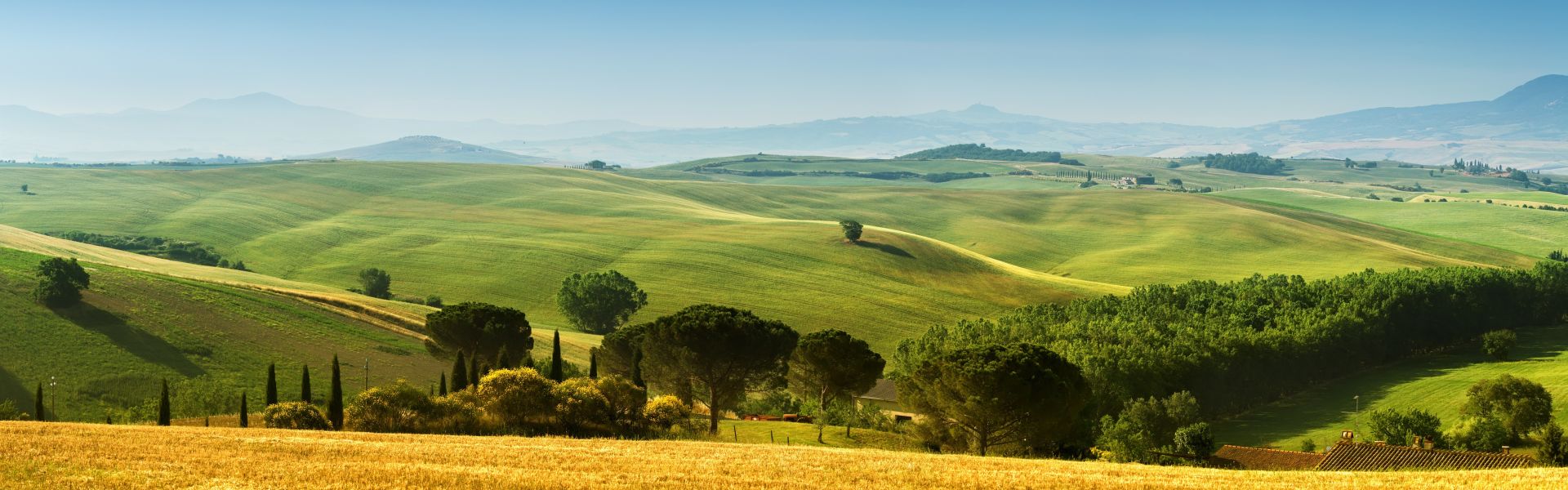 Panorama - Zsolt Biczó