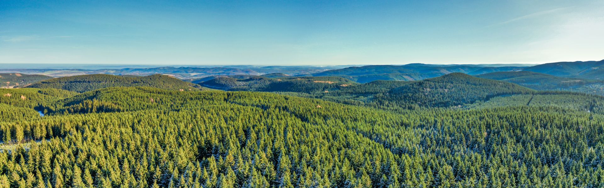 Panorama Thüringer Wald