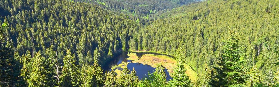 Titel_Schwarzwald_1320x360 Titel_Schwarzwald_1320x360